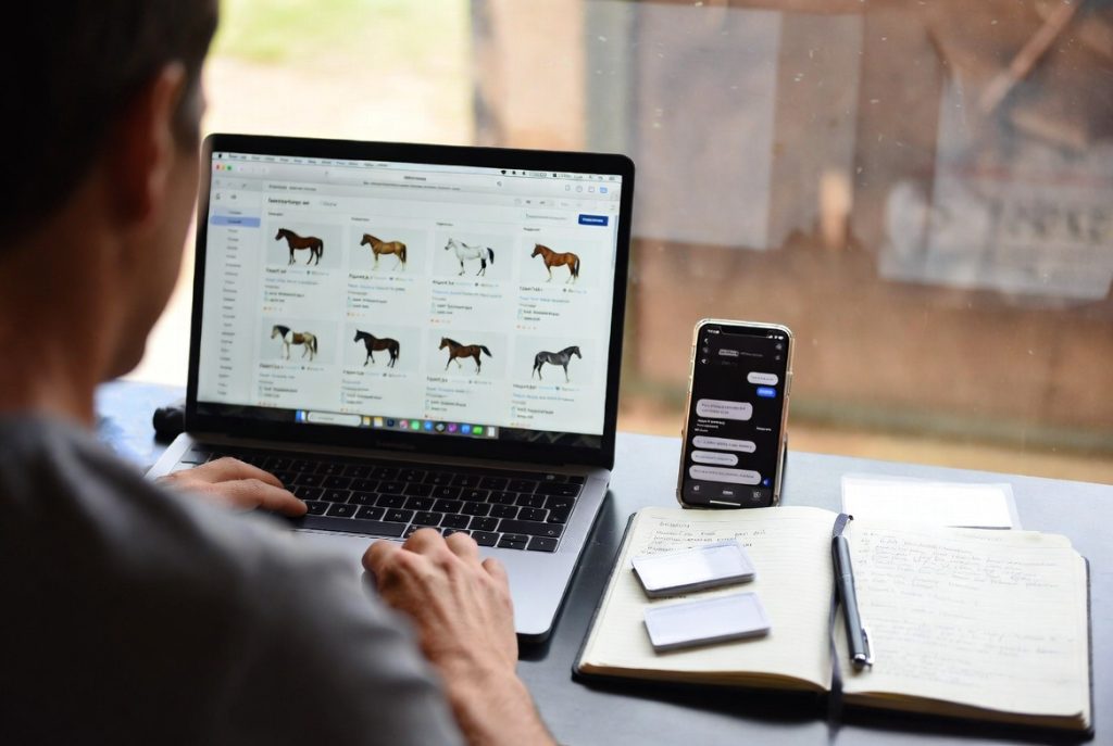 une fois que vous avez trouvé votre cheval, vous pouvez acheter votre véhicule chevaux
