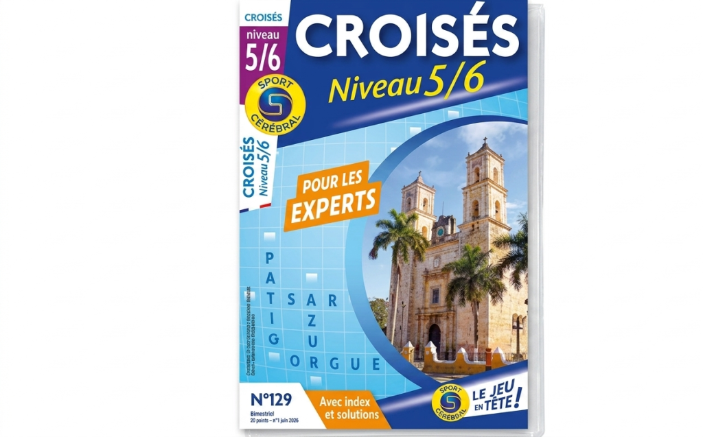 jeux cerebral
