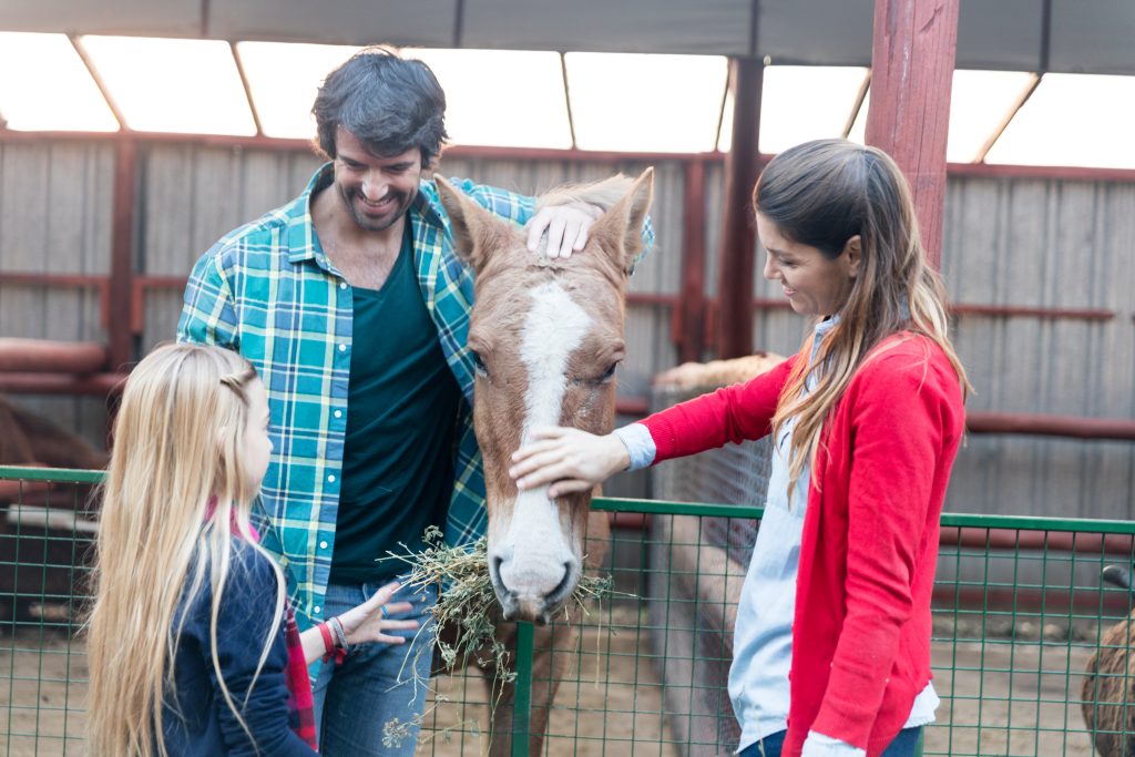animalerie montpellier
