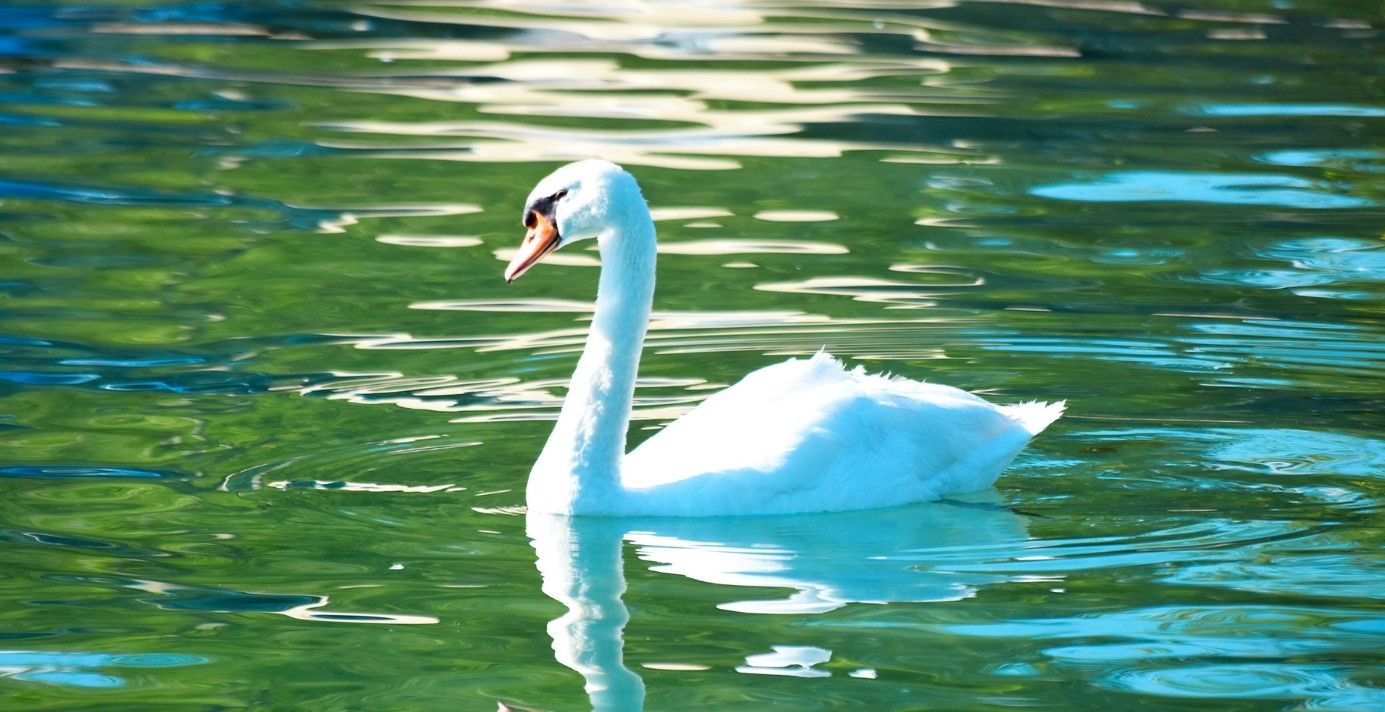 Passez des vacances exceptionnelles au bord du lac d’Annecy